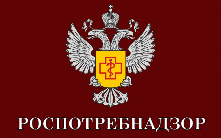 Чем опасны клещи.